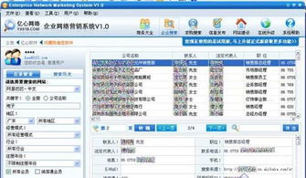 數(shù)字化浪潮下的精準(zhǔn)觸達(dá) 企業(yè)網(wǎng)絡(luò)營銷軟件與計(jì)算設(shè)備的多維市場(chǎng)解析